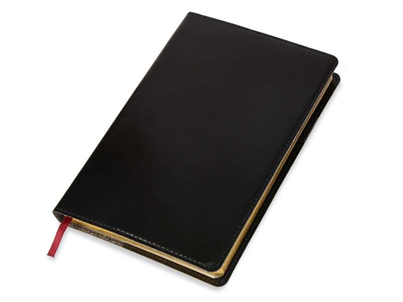 Ежедневник полудатированный портфолио А5  PROFY черный №4