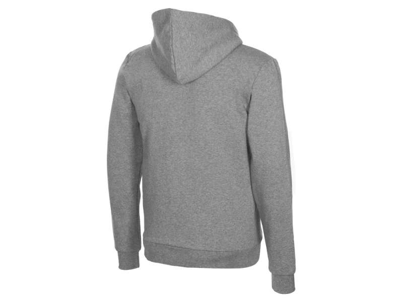 Толстовка с капюшоном Amsterdam мужская, серый меланж №8
