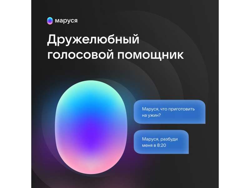Умная колонка VK Капсула с голосовым помощником Марусей, черный №10