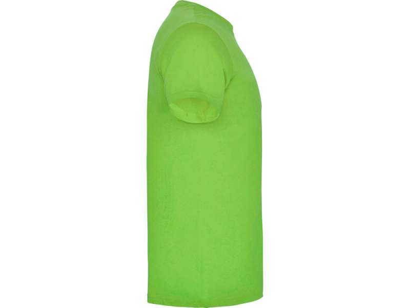 Футболка Beagle детская, зеленое яблоко №4