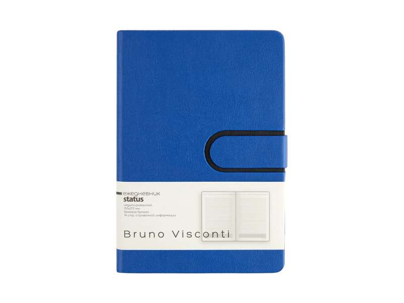 Ежедневник недатированный А5 Status, синий №2