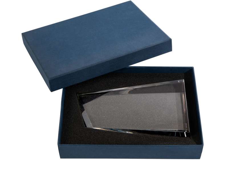 Награда Phylosikos, прозрачный/многоцветный №6