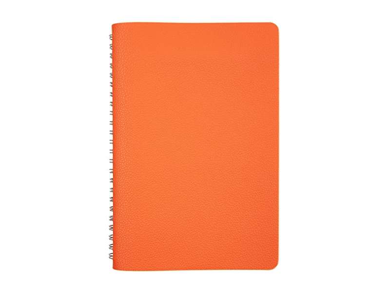 Ежедневник недатированный А5 Alba, оранжевый №4