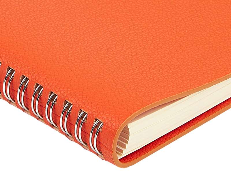 Ежедневник недатированный А5 Alba, оранжевый №5
