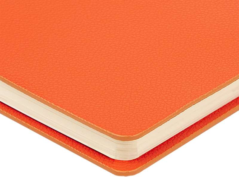 Ежедневник недатированный А5 Alba, оранжевый №6