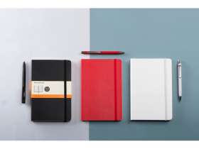 Подарочный набор Moleskine Hemingway с блокнотом А5 и ручкой, серый №6