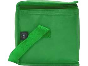 Сумка-холодильник Reviver из нетканого переработанного материала RPET, зеленый №8