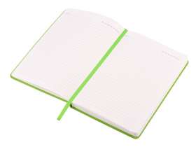 Бизнес-блокнот C2 софт-тач, твердая обложка, 128 листов, зеленое яблоко №4