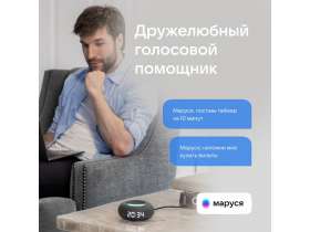 Умная колонка VK Капсула Мини с голосовым помощником Марусей, темный серый №9