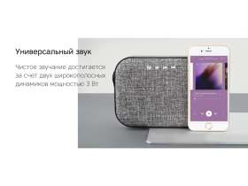 Портативная колонка Rombica Mysound Mia с логотипом, серый №6
