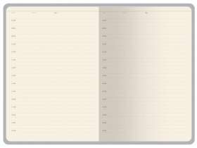 Ежедневник недатированный А5 Bosforo, черный №3