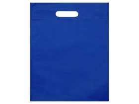 Сумка для выставок Prime, ярко-синий №3