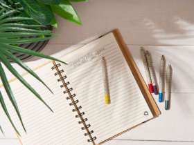 Растущий карандаш mini Magicme (1шт) - Гвоздика №8