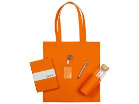 Welcome pack Color Refine, оранжевый №2