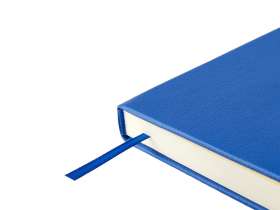 Ежедневник недатированный А5 Status, синий №5