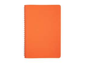 Ежедневник недатированный А5 Alba, оранжевый №4