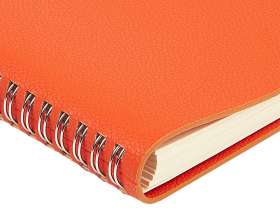 Ежедневник недатированный А5 Alba, оранжевый №5