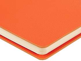 Ежедневник недатированный А5 Alba, оранжевый №6