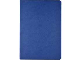 Бизнес тетрадь А5 Pragmatic, 40 листов в клетку, синий №2