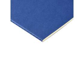 Бизнес тетрадь А5 Pragmatic, 40 листов в клетку, синий №3