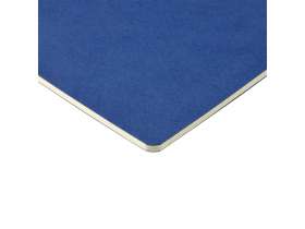 Бизнес тетрадь А5 Pragmatic, 40 листов в клетку, синий №4