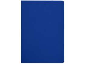 Бизнес-тетрадь А5 Pragmatic Contrast, 40 листов в клетку, синий с синим срезом №3