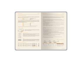 Ежедневник А5 датированный Boston 2026, фиолетовый с салатовым обрезом №6