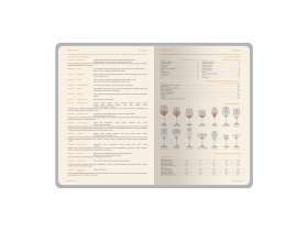 Ежедневник А5 датированный Boston 2026, фиолетовый с салатовым обрезом №4