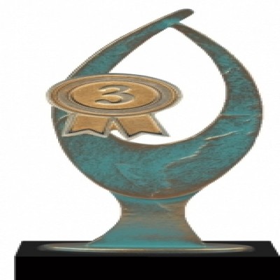 Награда VERDIGRIS: BRONZE WINNER №2